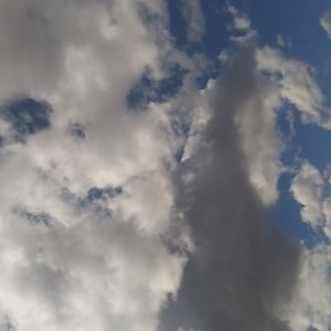 Meet your Posher, Tatum